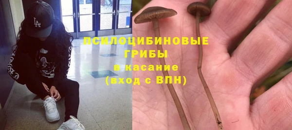 СК Липки