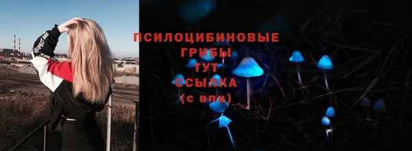 а пвп мука Лиски