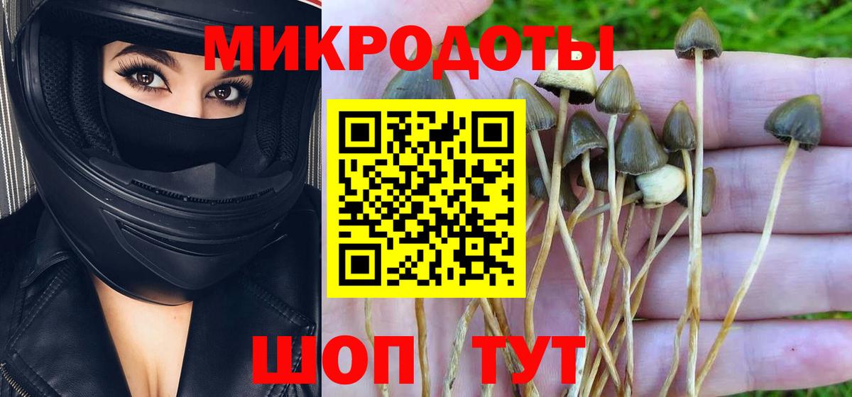 Галлюциногенные грибы Magic Shrooms Туапсе