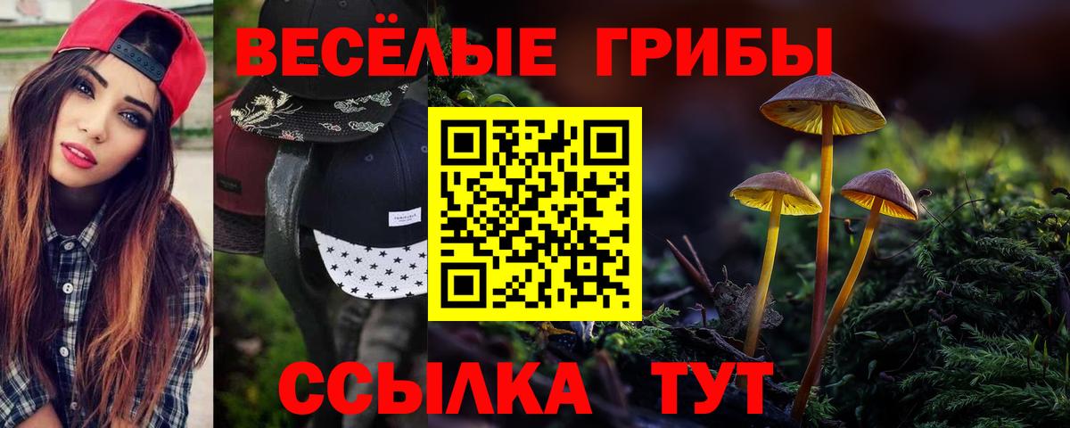 Галлюциногенные грибы Psilocybine cubensis  как найти   Туапсе  Вход с VPN 